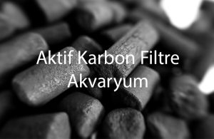 Aktif Karbon Filtre Akvaryum